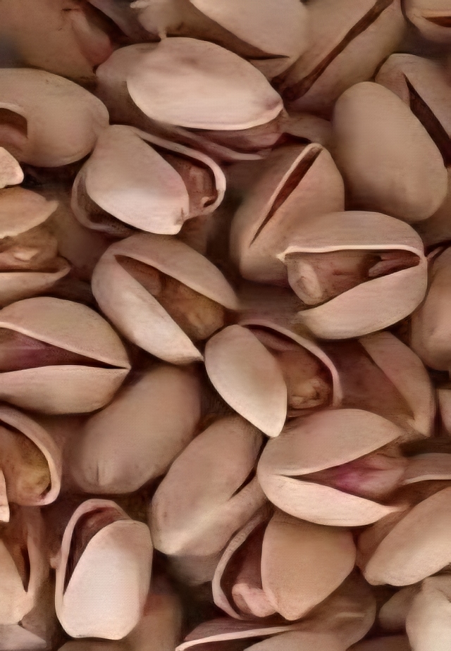 فروش مستقیم پسته کله قوچی رفسنجان + گزینه ای  ممتاز برای تجارت خشکبار + قیمت  و  خرید عمده